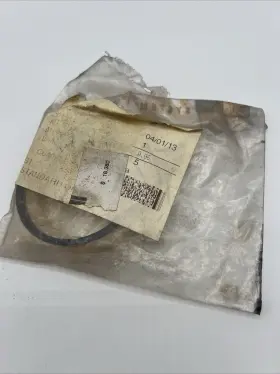 101310 Crown Seal Kit #2