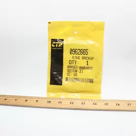 0962665 Ctp Ring Backup