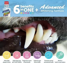 1600323 Jlg Dental Fresh Advanced Whitening Water Additive 17oz Dog Breath Freshener To #2