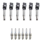Denso Ignition Coil Ngk Laser Iridium Spark Plugs Kit For Vw Atlas 3.6 V6. Fixed Price $352.95.
