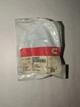 Nos Genuine Cummins Hose 3925975 Unused Sealed Free Shipping. Fixed Price $18.00.