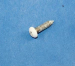 Frigidaire Refrigerator : Door Hinge Screw #10-32 X 3/4" (240442708) P6811. Fixed Price $11.24.