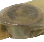 Caterpillar (cat) 303-4988 Or 3034988 Collar. Fixed Price $32.99.