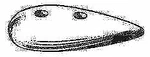 Camp Tear Drop Hull Zinc Anode Corrosion Resistant 3-1/2" X 1.75" T20. Fixed Price $17.00.