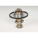 131-151 Ac Delco Thermostat For Chevy Olds Express Savana S10 Pickup 1500. Fixed Price $46.13.